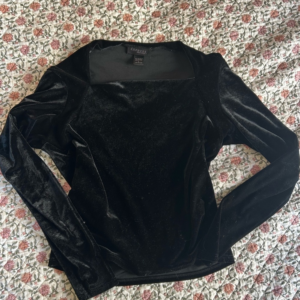 Express Women's Black Velvet Blouse